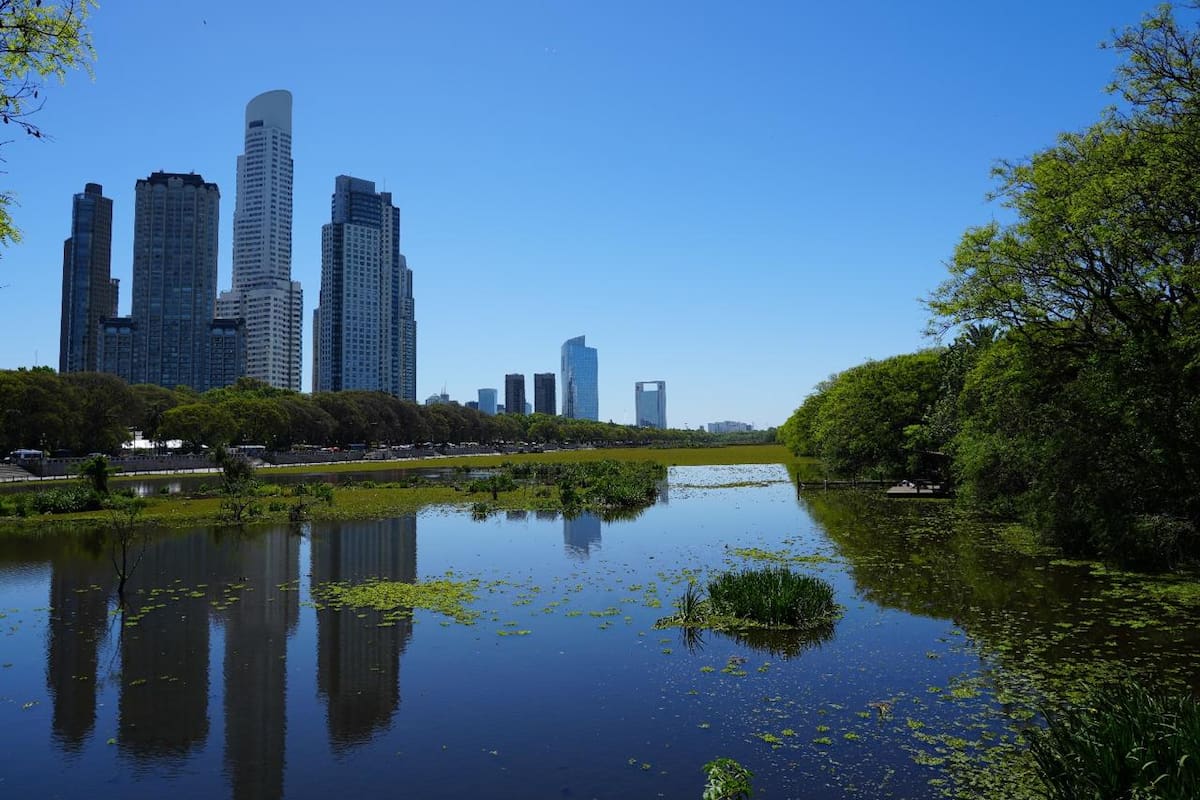 La Reserva Ecológica Costanera Sur es el área natural protegida más grande de la Ciudad de Buenos Aires