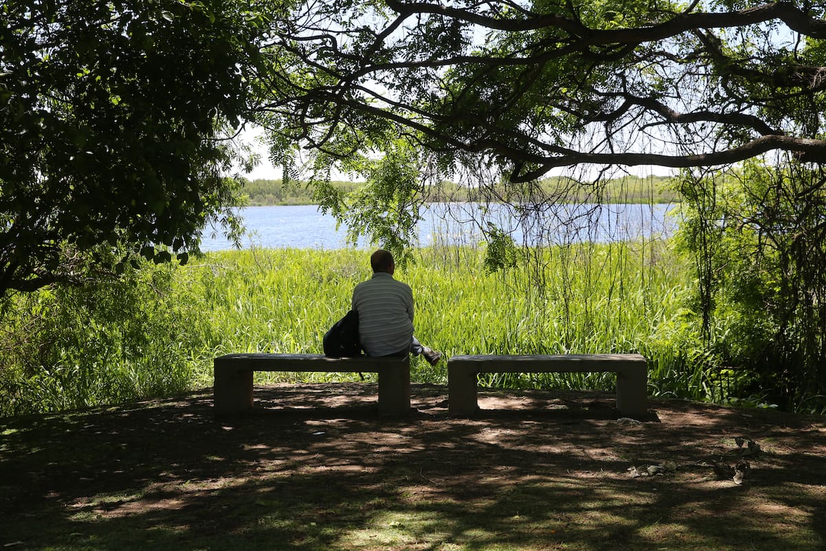 La Reserva ecológica Costanera Sur, reservorio de plantas nativas, donde abundan las mariposas y las aves