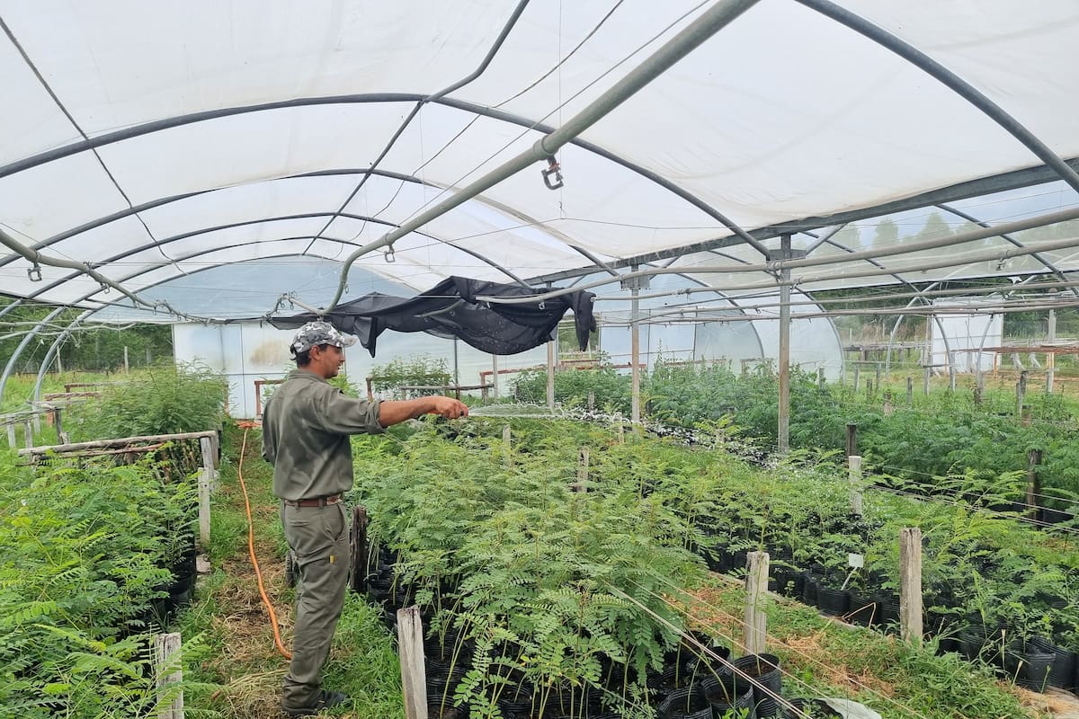 La Reserva El Potrero, en Gualeguaychú, funciona como una de las "baldosas" más importantes de la nueva ruta ecológica