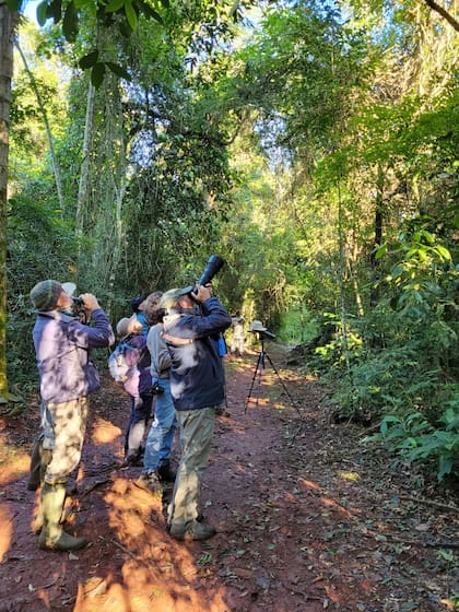 La reserva es un lugar ideal para hacer avistaje de aves.