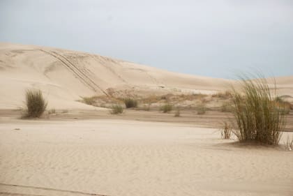 La reserva municipal de 5.757 hectáreas contiene la mayor porción intacta de dunas costeras de la Argentina.