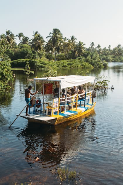 La Reserva Natural Imbassaí y su paisaje selvático, ideal para hacer kayak o paseos en lancha