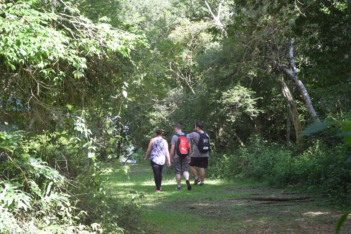 La reserva Osununú, administrada por la fundación Temaikén, está a 20 minutos de las Ruinas de San Ignacio