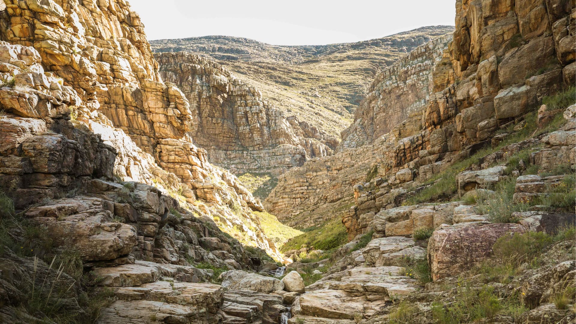 La reserva privada Sierras Grandes, en Sierra de la Ventana.
