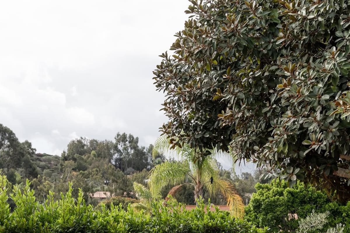 La residencia fue adquirida en el verano de 2023 por US$1.2 millones en efectivo