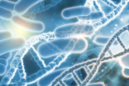 La resistencia a los antibióticos, un problema que tiene millones de años de antigüedad.