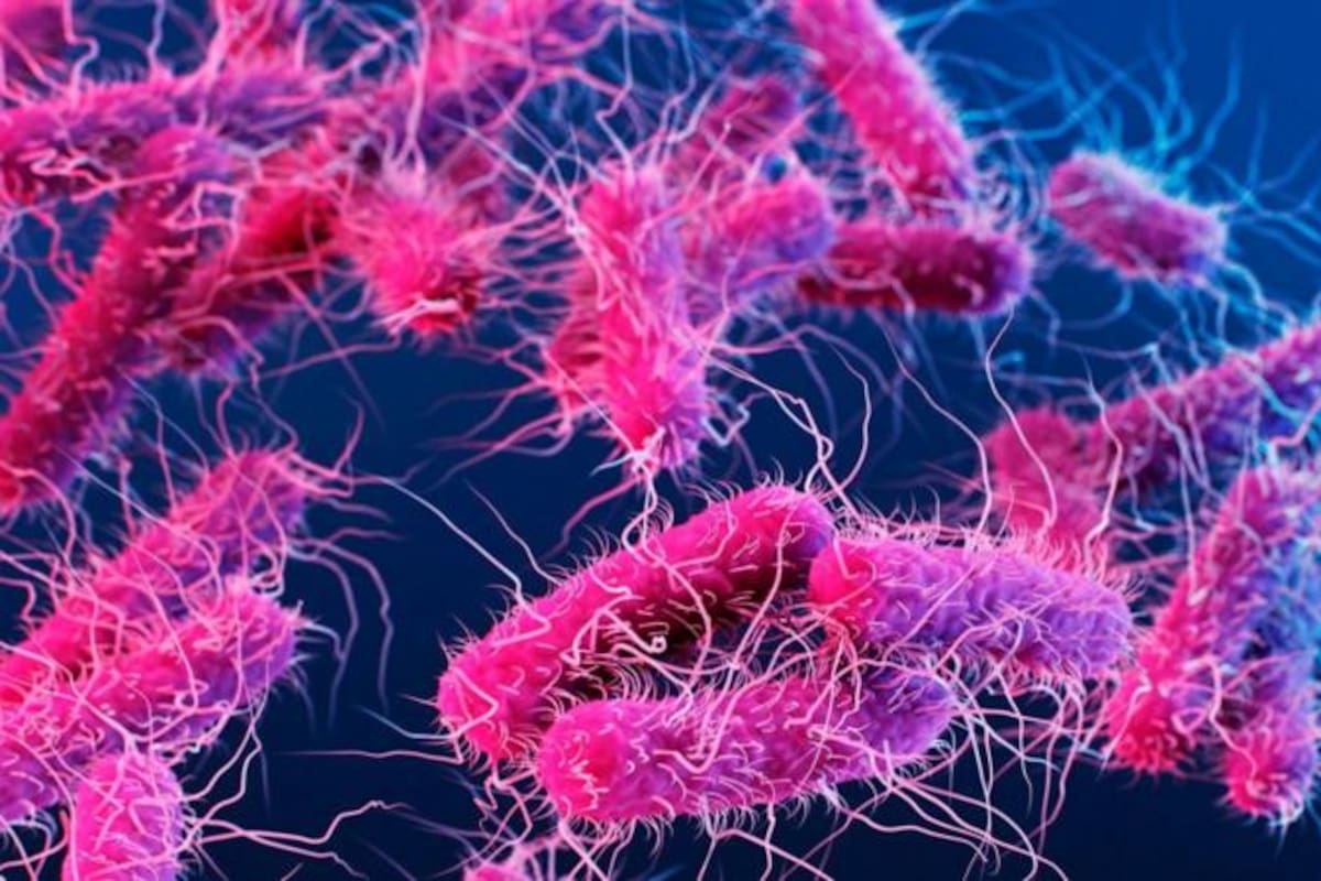 La resistencia de algunas bacterias a los antibióticos es uno de los problemas más grandes de la salud global