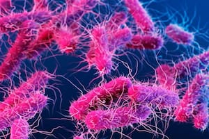 La resistencia de algunas bacterias a los antibióticos es uno de los problemas más grandes de la salud global
