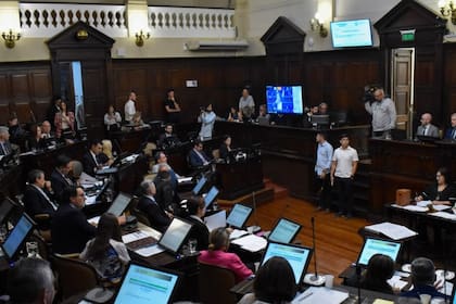 La resolución en la Legislatura mendocina fue aprobada por 30 votos a favor y ocho en contra, además de seis abstenciones y cuatro ausencias.