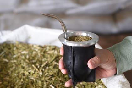 La resolución publicada en el Boletín Oficial deroga normas sobre cosecha, sanciones y control administrativo