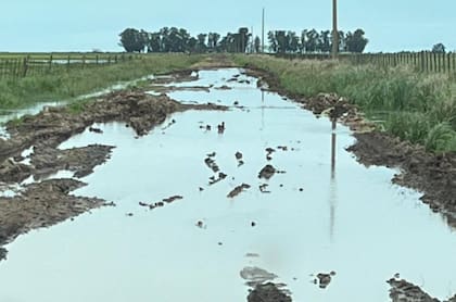 La resolución responde a una acción judicial presentada por productores de la zona, que reclamaron precisiones sobre la utilización del dinero proveniente de las tasas que pagan para el mantenimiento de los caminos rurales