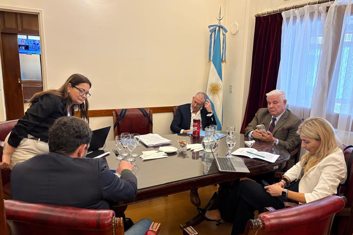 La reunión de la Comisión Bicameral de Supervisión de la OPC con Monteverde, Benegas Lynch, Fernández Molero y Maxi Ferraro