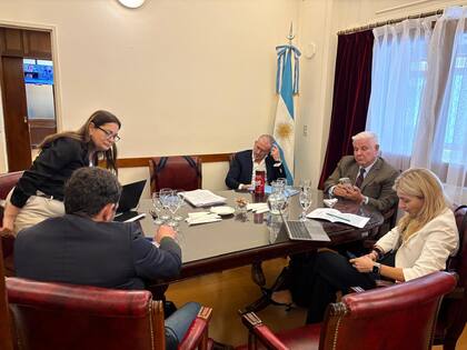La reunión de la Comisión Bicameral de Supervisión de la OPC con Monteverde, Benegas Lynch, Fernández Molero y Ferraro