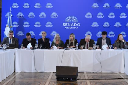 La reunión de las comisiones de Legislación General, de Ambiente y Desarrollo Sustentable y de Presupuesto y Hacienda, donde se trató la regulación de los mercados de carbono