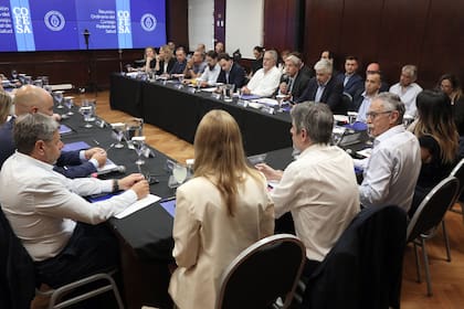 La reunión del Consejo Federal de Salud