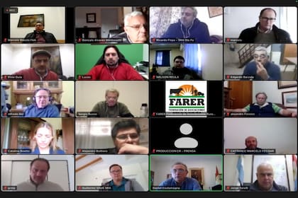La reunión virtual de productores y los ministros ligados al agro de Córdoba, Santa Fe y Entre Ríos