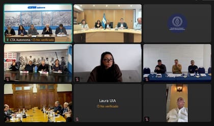 La reunión virtual por el SMVM