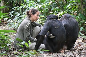 La revista Newsweek incluyó a Rebeca Atencia entre las veinte mujeres más inspiradoras para las nuevas generaciones
Foto: Fernando Turmo, JGI Congo