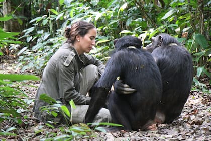 La revista Newsweek incluyó a Rebeca Atencia entre las veinte mujeres más inspiradoras para las nuevas generaciones
Foto: Fernando Turmo, JGI Congo