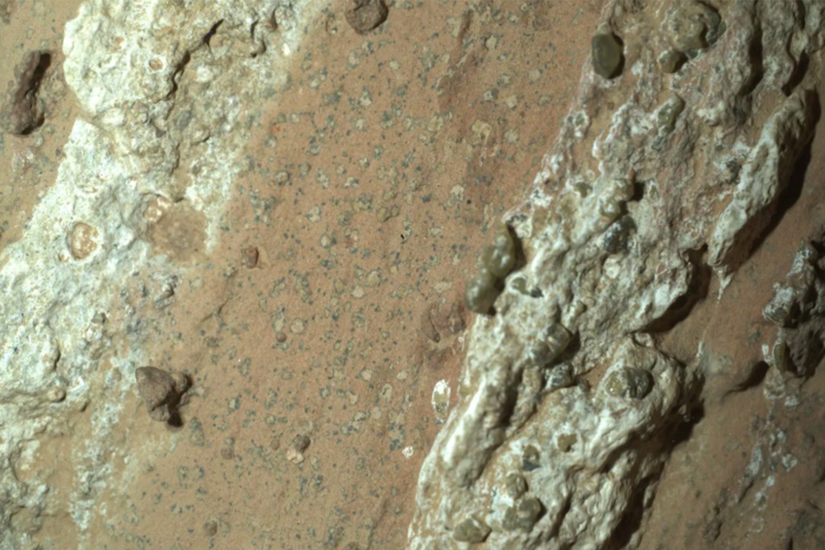 La roca con las "manchas de leopardo" que podrían ser restos dejados por microbios, según la NASA