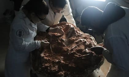 La roca extraída en el laboratorio de la UFSM