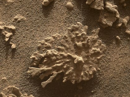La roca fue apodada como Paposo y se formó miles de millones de años antes de que Marte tuviera mar