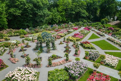La rosaleda en el Jardín Botánico de New York en plena primavera