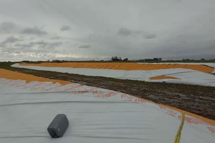 La rotura de 6 silobolsas fue en un campo de María Teresa, Santa Fe