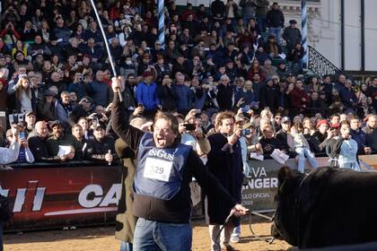 La Rural ayer estuvo a pleno con la jura del Gran Campeón Macho Angus