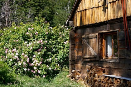 La rústica cabaña de madera devenida en Palais Vintter fue construida a golpe de hacha en 1944. Los vecinos más cercanos son los gendarmes del puesto, con quienes el vínculo es de ayuda recíproca.