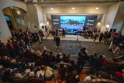 La Sala de Ventas del predio de Palermo a pleno en el remate de la raza Criolla