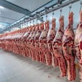 La salida de Brasil de Europa abre dos oportunidades para la Argentina y un riesgo en Estados Unidos