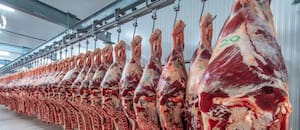 La salida de Brasil de Europa abre dos oportunidades para la Argentina y un riesgo en Estados Unidos