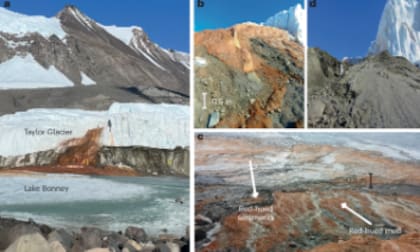 La salmuera rica en hierro emerge desde el glaciar Taylor y tiñe de rojo el paisaje de los Valles Secos de McMurdo