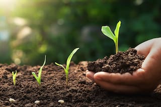 Earthing: qué es y cómo aprovechar sus beneficios en balcones y terrazas