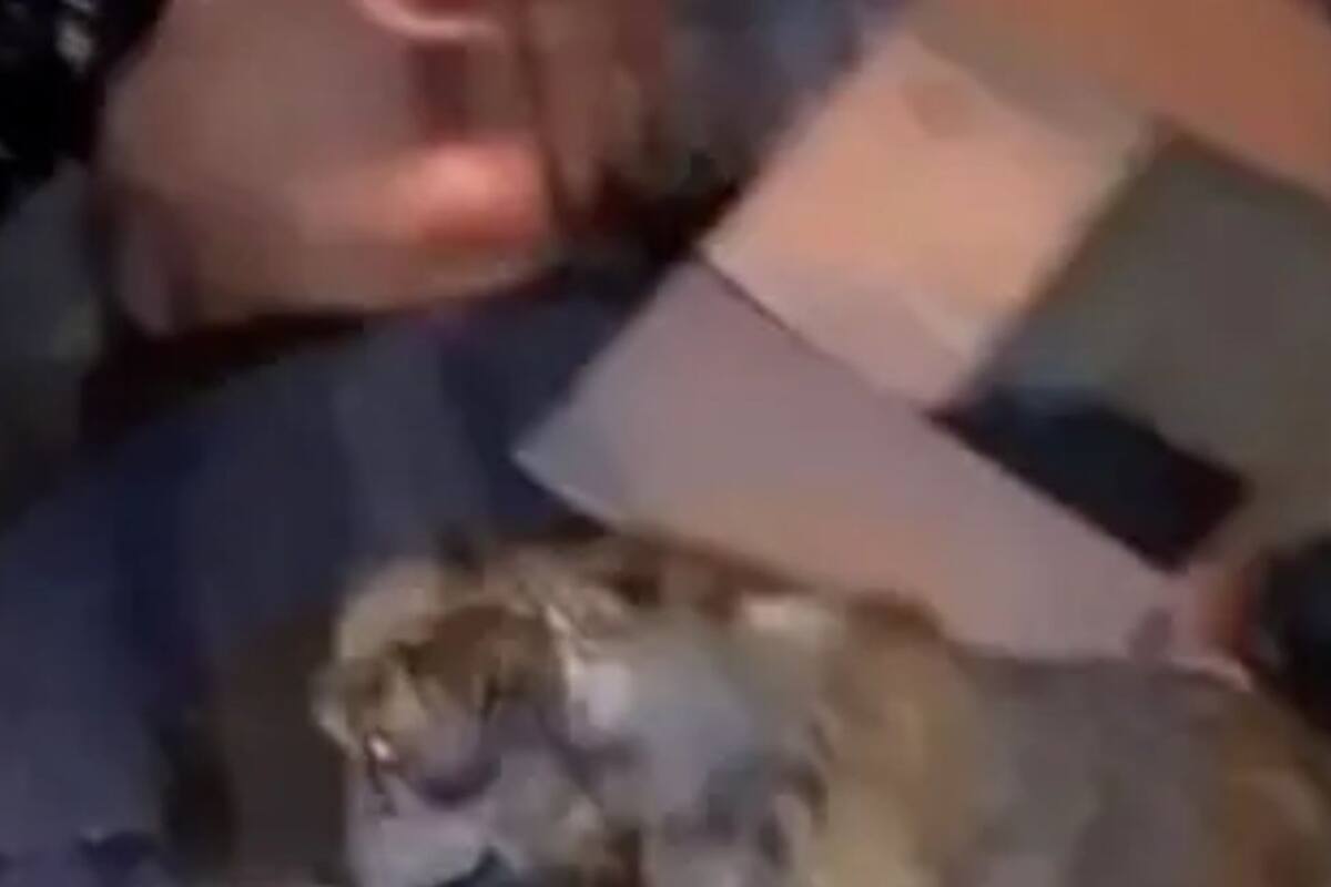 La salvaron cuando estaba a punto de ser triturada