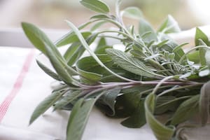 La salvia mejora la circulación sanguínea
