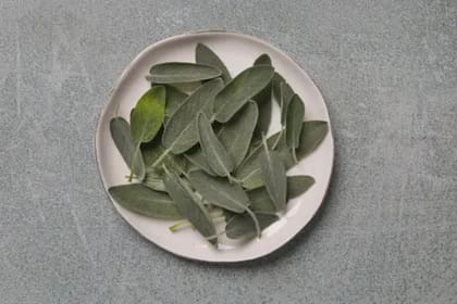 La salvia se ha utilizado para tratar las afecciones digestivas como la diarrea, los vómitos, los cólicos y la indigestión (Foto Unsplash)