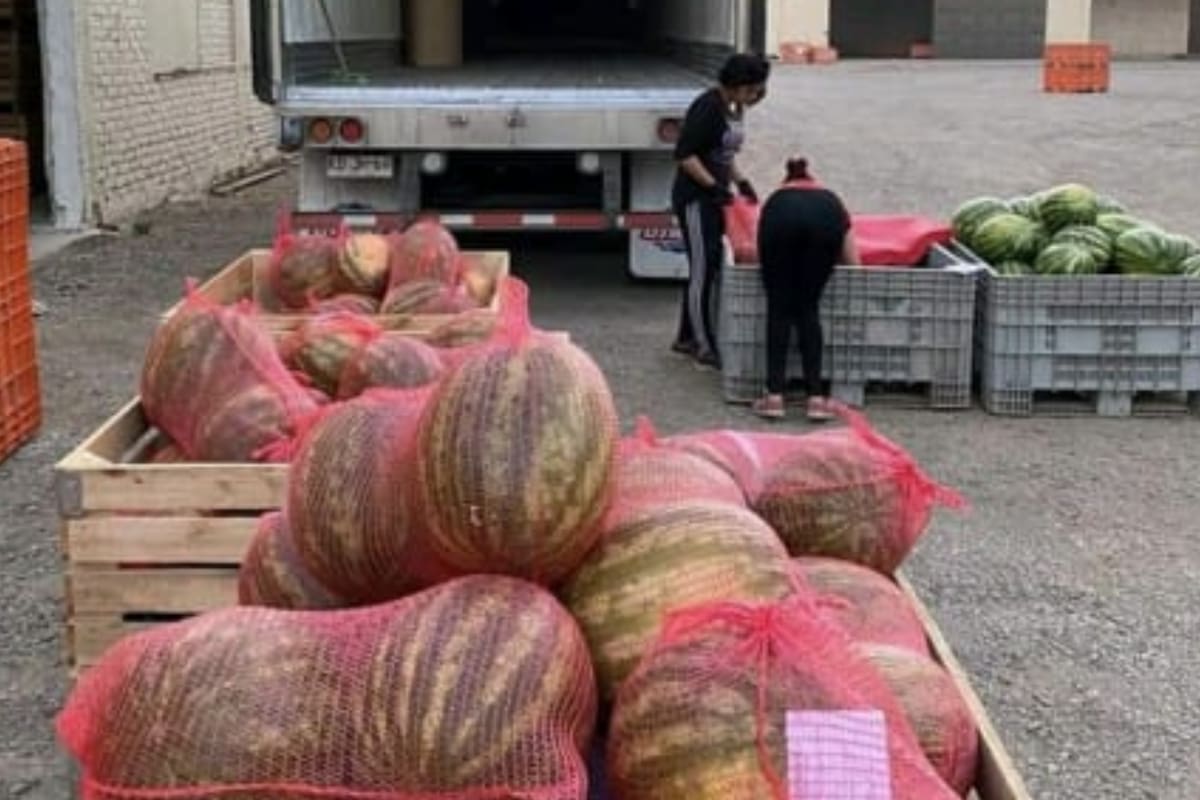 La sandía, por ejemplo, tenía que tener este tipo de virutas para ser exportada