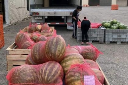 La sandía, por ejemplo, tenía que tener este tipo de virutas para ser exportada