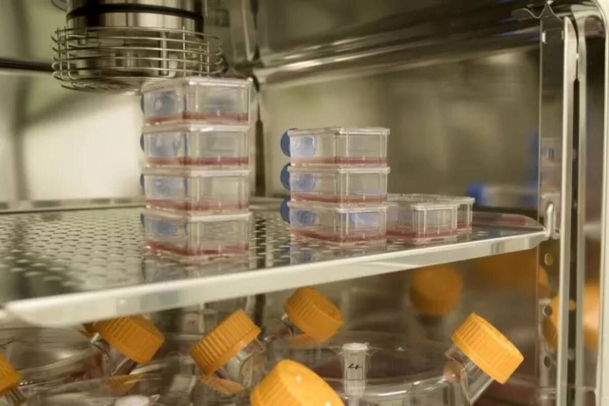 La sangre artificial en un laboratorio de Bristol