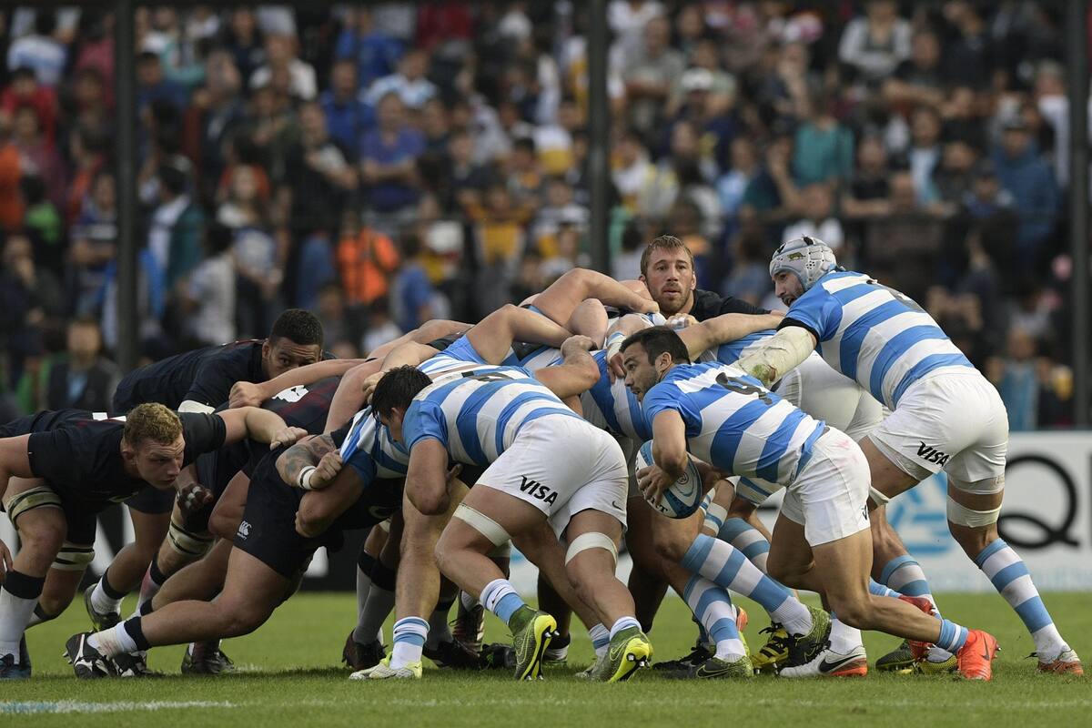 La Sanzaar comienza a evaluar alternativas para la continuidad del Súper Rugby y la disputa del Championship; los planteles de los Pumas y Jaguares se superponen