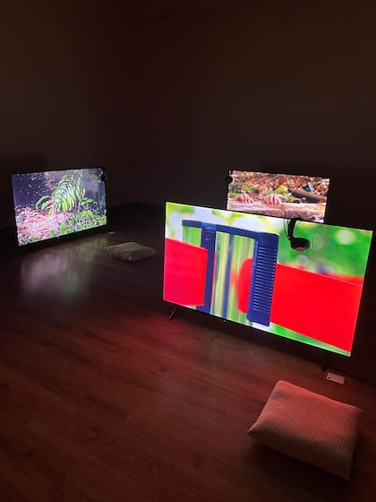 La sección Video Project, curada por Irene Gelfman