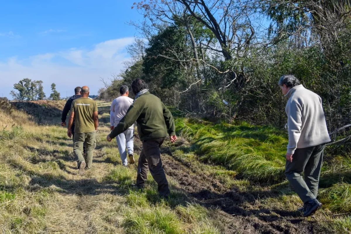 La Secretaría de Ambiente del municipio de Moreno en Instagram (Foto: @ambiente.moreno)