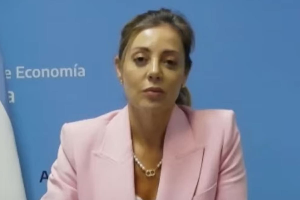 La secretaria de Energía de la Nación, Flavia Royón.