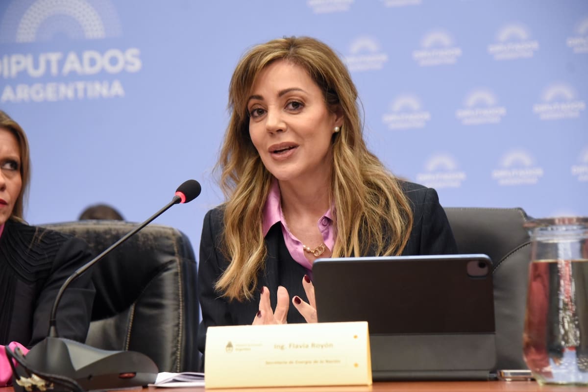 La secretaria de Energía, Flavia Royon