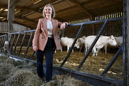 La secretaria de Exteriores británica Liz Truss en una granja en Newton Abbot, sudoeste de Inglaterra, el 1 de agosto del 2022.  (Finnbarr Webster/PA vía AP)