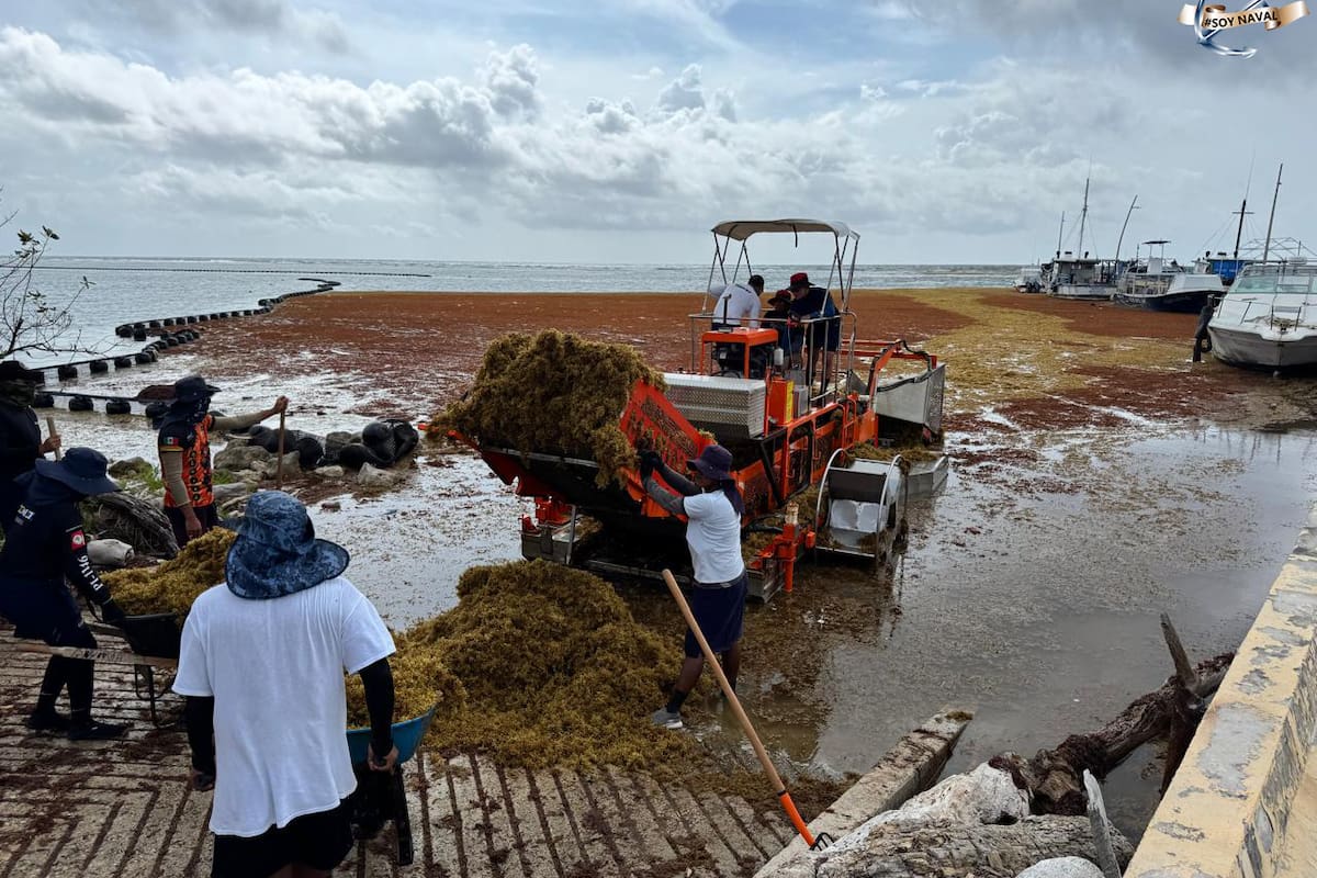 La Secretaría de Marina de México lanzó la "Operación Sargazo" para enfrentar un gran problema que afecta al turismo