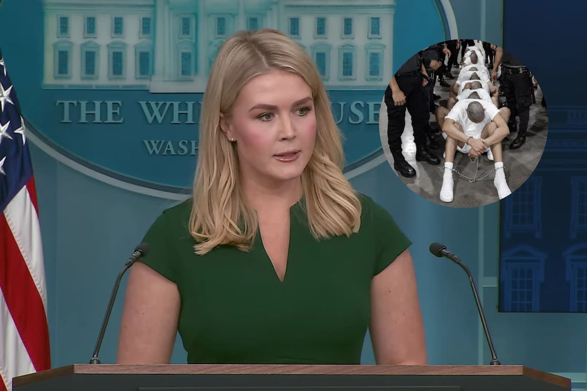 La secretaria de prensa de la Casa Blanca, Karoline Leavitt, detalló el costo para los contribuyentes estadounidenses.de las recientes deportaciones de supuestos miembros del Tren de Aragua a El Salvador