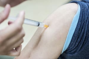 Alerta por la suba de casos de fiebre amarilla en la región: en la Argentina la vacuna ya no es gratuita